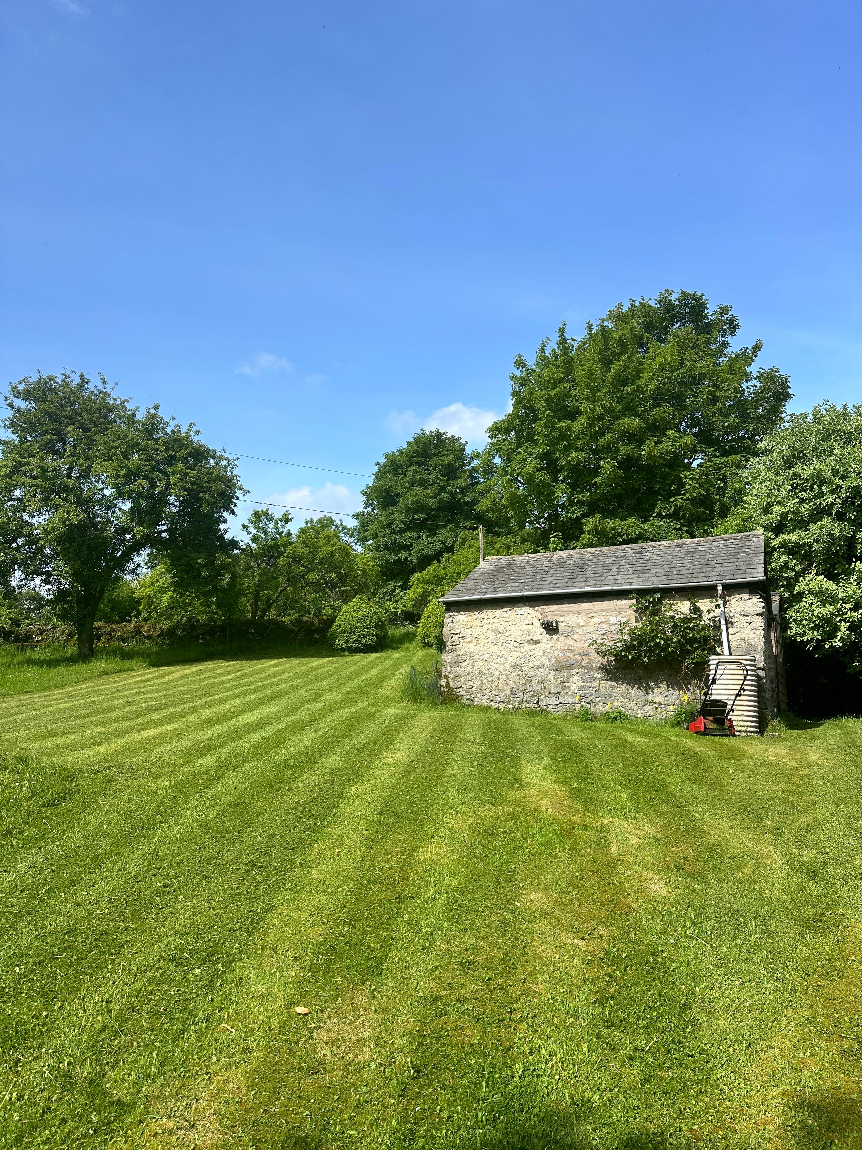 A morning's work on the lawn